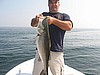 Nice Striper