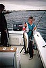 Greg's son, 34inch fish July