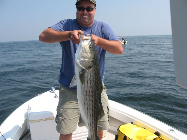 Striped Bass Charters in Newburyport