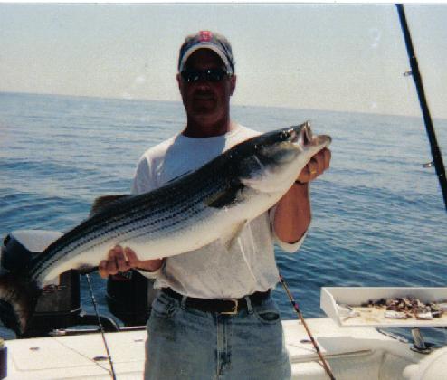 Live bait fishing off Plum Island