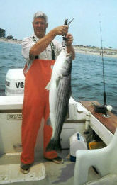 Capt. Pete holds a Plum Island striped Bass
