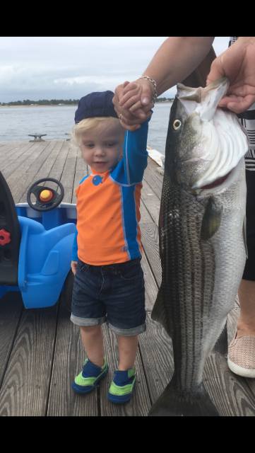 Eamon's Plum Island bass