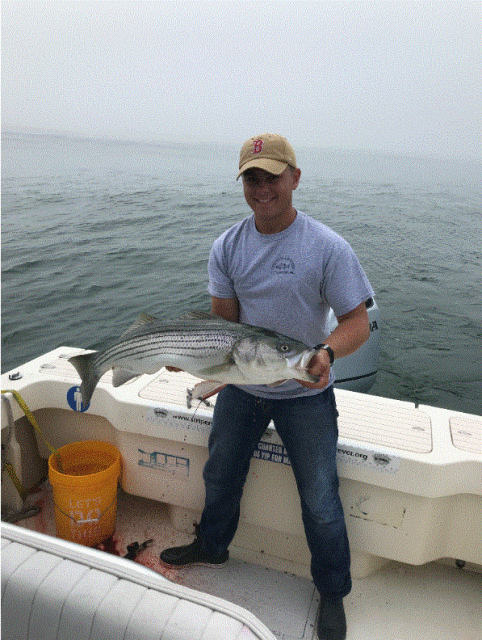 newburyport striped bass