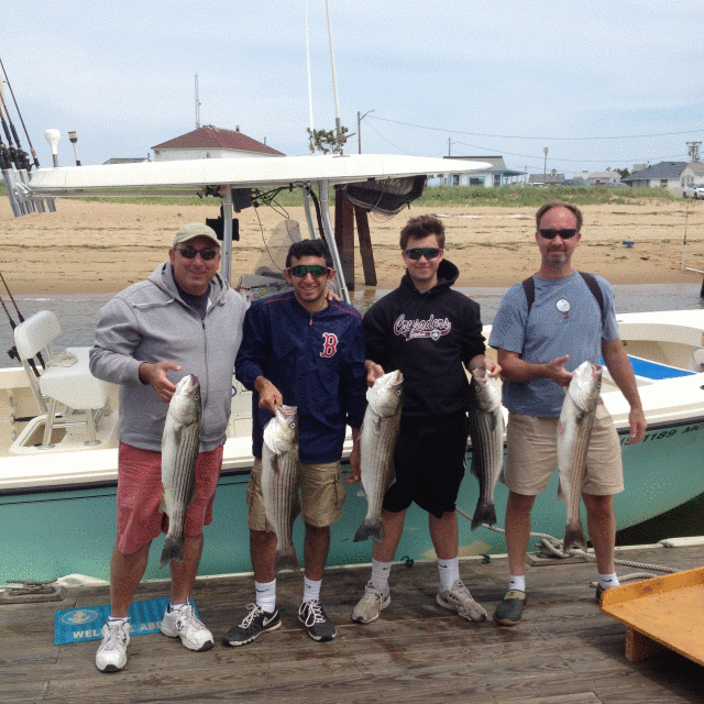 Plum Island Stripers