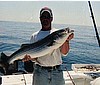 Live bait fishing off Plum Island