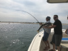 charter fishing trips